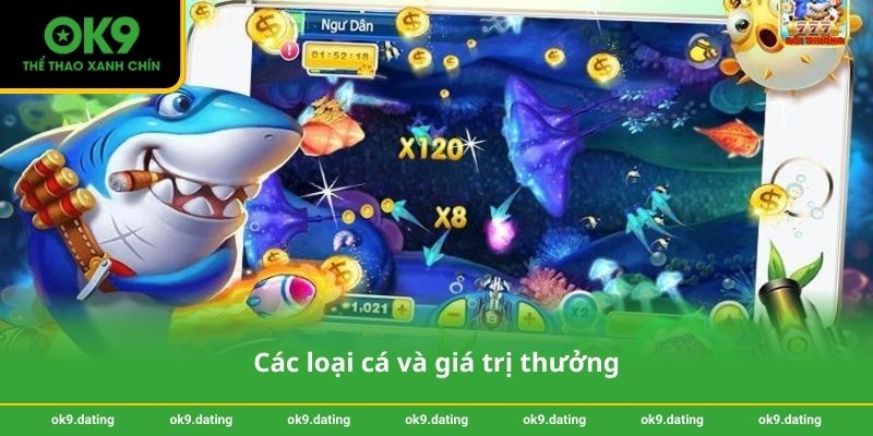 Bắn cá đổi thưởng - Trải nghiệm giải trí sinh lợi cùng OK9 3 Các loại cá và giá trị thưởng