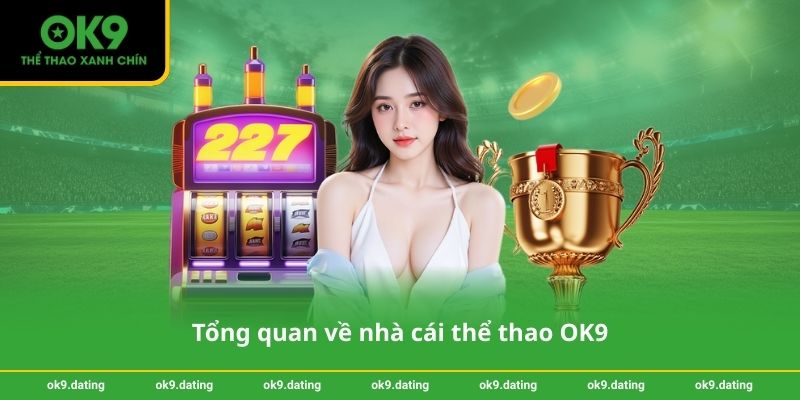 Tổng quan về nhà cái thể thao OK9